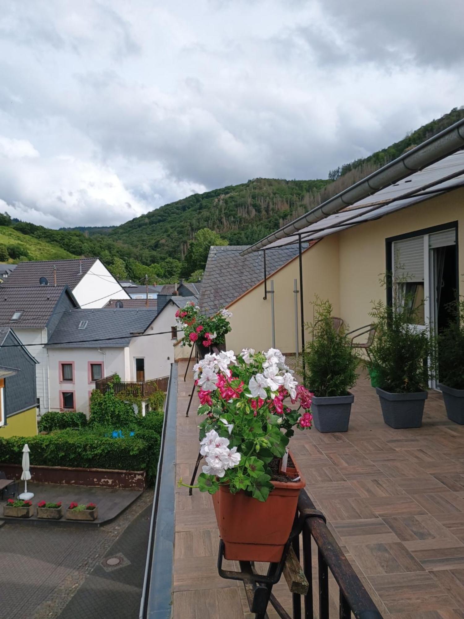 Gasthof Zur Grafschaft Veldenz Exterior photo
