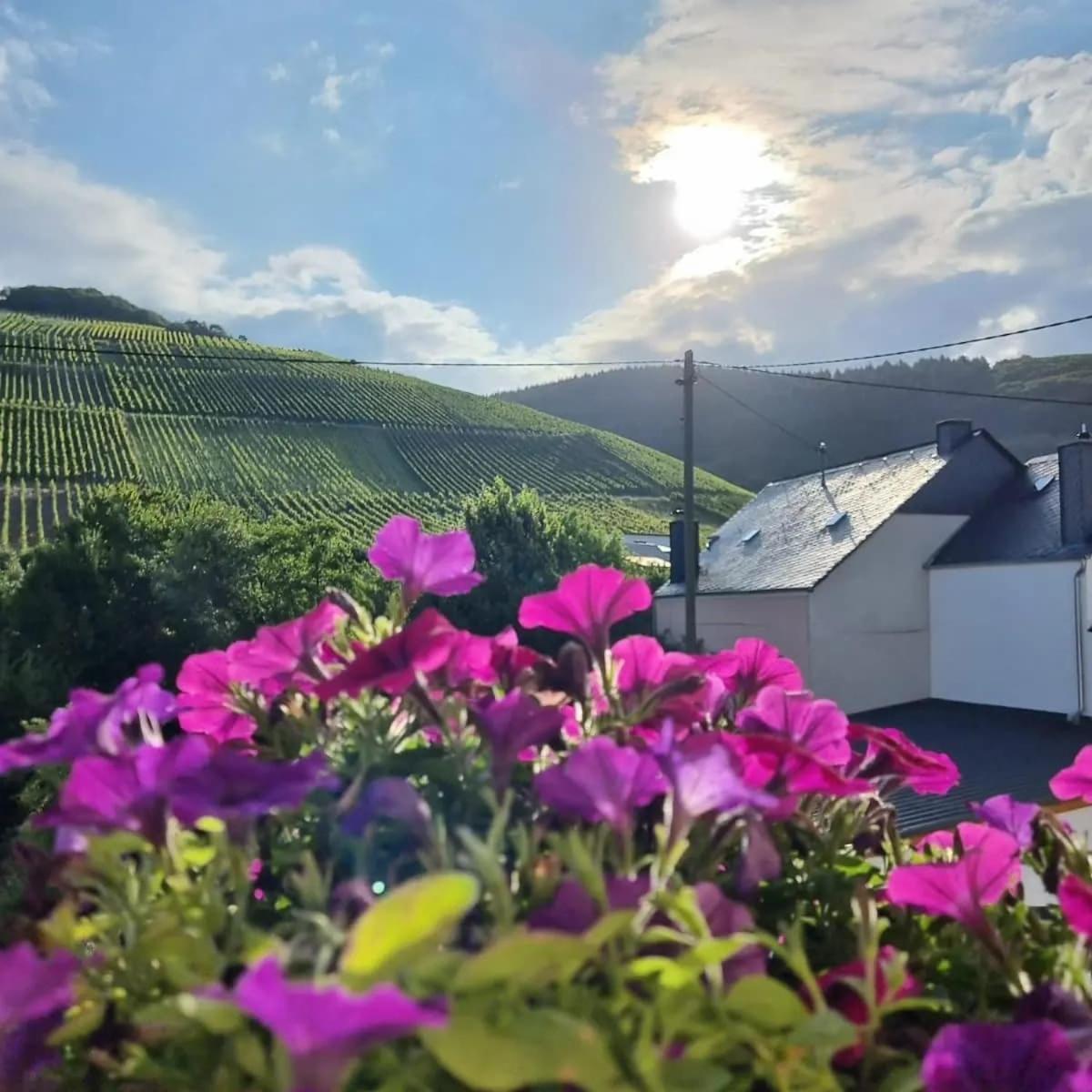 Gasthof Zur Grafschaft Veldenz Exterior photo